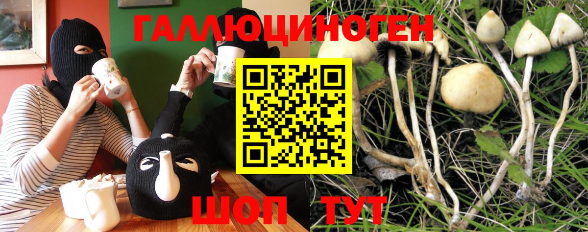 Новороссийск  как найти закладки  Псилоцибиновые грибы мицелий  Вход с VPN  Галлюциногенные грибы Cubensis 