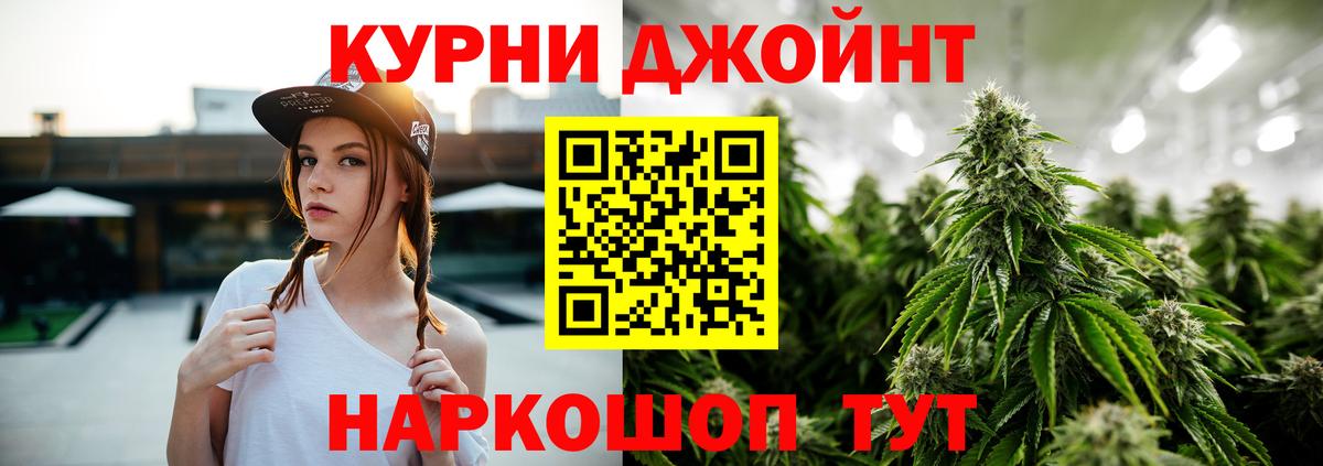 Каннабис гибрид Новороссийск